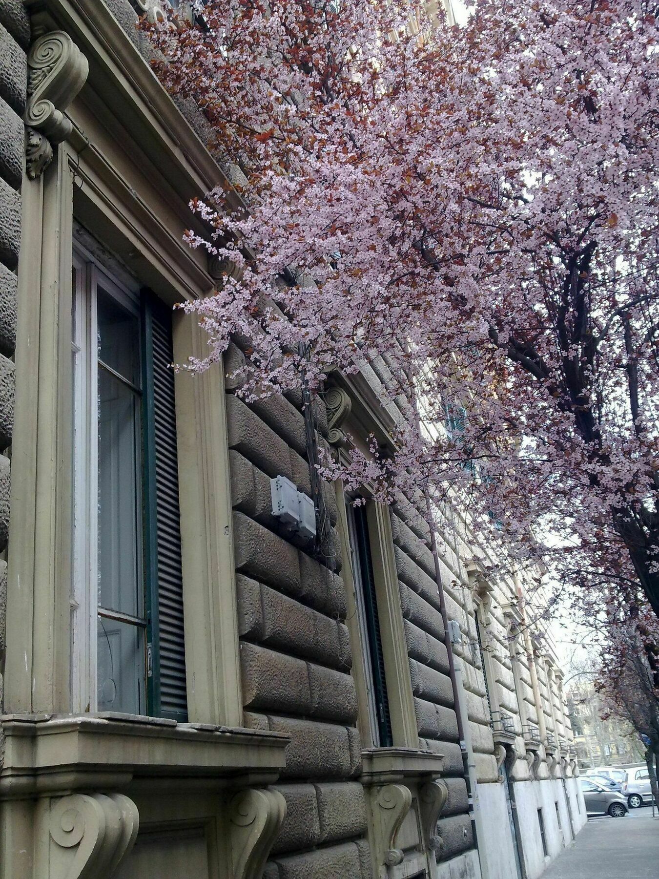 Casa Gigli - Arts Lodge Rome Bagian luar foto